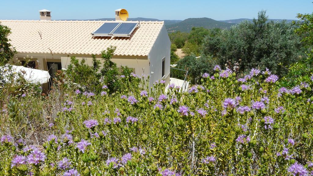 B&B Casa Encantada ボリケイメ エクステリア 写真